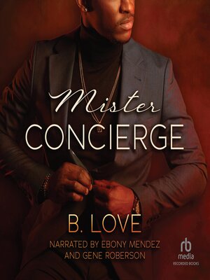 cover image of Mister Concierge